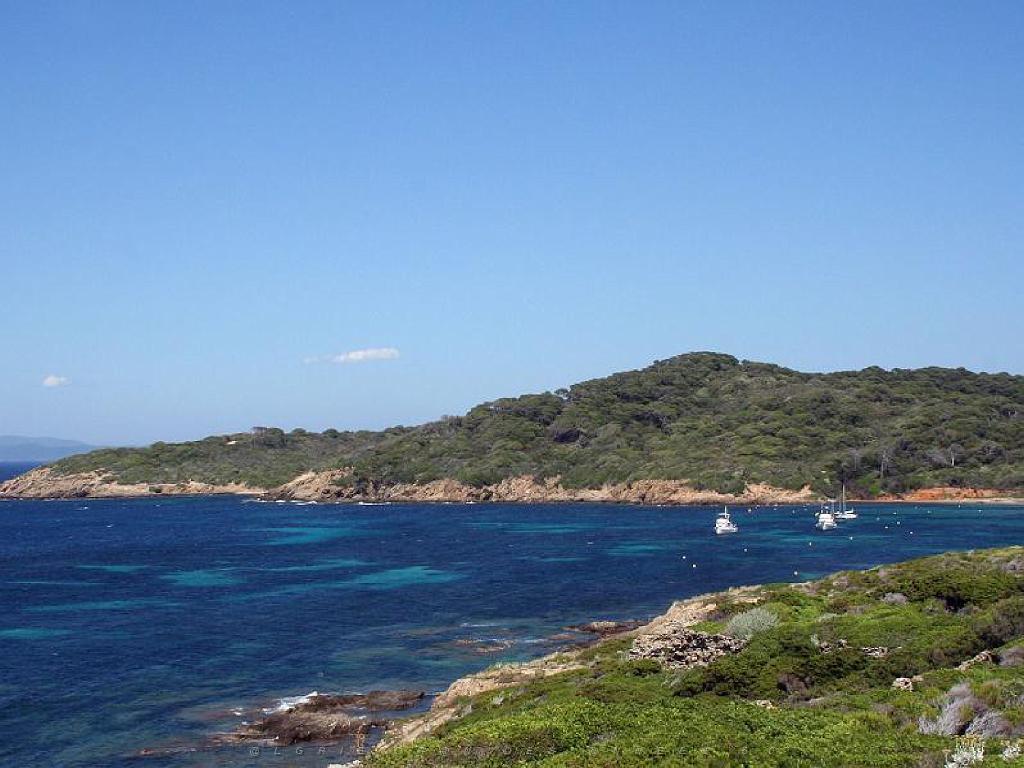 183 ILE DE PORQUEROLLES -3_000023.jpg